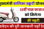 free bike