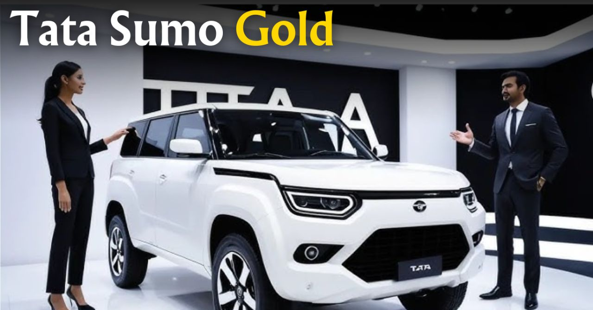 sumo