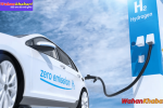 Hydrogen Fuel Cell Vehicles: Are They the Future